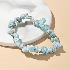 Natürliche Larimar Perlen Stretch Armbänder&nbsp;X-BJEW-JB02680-01