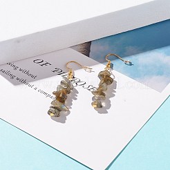 Orecchini pendenti con perline di chip di labradorite naturale&nbsp;EJEW-JE04788-04