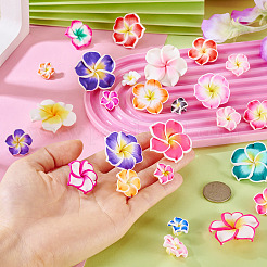 50pcs 5 Arten handgemachte Polymerton 3d Blume Plumeriaperlen&nbsp;CLAY-TA0001-68