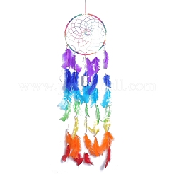 Rete/rete intrecciata color arcobaleno con decorazioni pendenti in piuma&nbsp;PW-WG38297-01