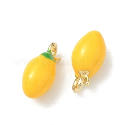 Pendentifs d'émail en alliage&nbsp;FIND-G108-03A-G