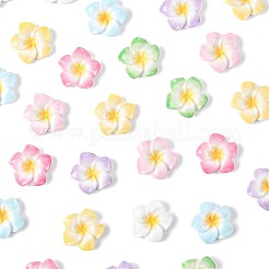 70 Stück 7 Farben Plumeria Blume undurchsichtige Harz Cabochons&nbsp;CRES-FS0001-32