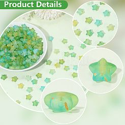 300 perles acryliques givrées&nbsp;OACR-PA0001-71C