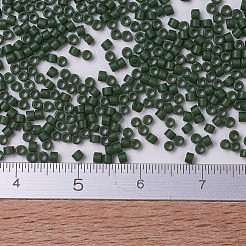 Perles miyuki delica&nbsp;X-SEED-J020-DB0797