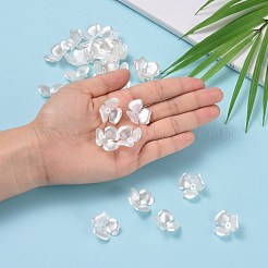 Blume Nachahmung Perle Acryl Perlenkappen&nbsp;OACR-L004-7226