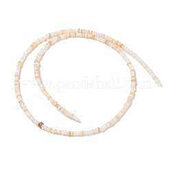 Eau douce naturelle de coquillage perles brins&nbsp;SHEL-P017-01A-10