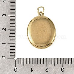 Colgantes de acero inoxidable 304 con pintura horneable&nbsp;STAS-C178-01B