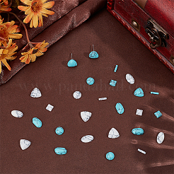 120 Stück 10 Stile gefärbte synthetische türkisfarbene Cabochons&nbsp;TURQ-PH0001-18