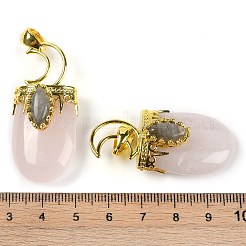 Pendentifs de quartz rose naturel&nbsp;G-L524-17G-09