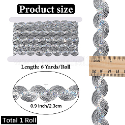 Ruban de dentelle polyester scintillant&nbsp;SRIB-WH20020-048B