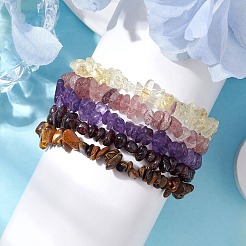 12 constellation de bracelets extensibles en perles de pierres précieuses mélangées naturelles pour femmes et hommes&nbsp;BJEW-JB10264-11