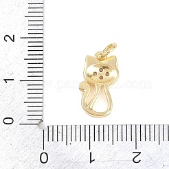 Pendentifs en laiton zircon cubique transparent&nbsp;KK-H273-48G-01