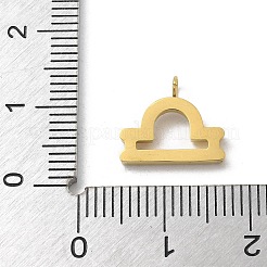 Breloques en acier inoxydable 304 avec placage ionique (IP) et micro-pavé de zircones cubiques&nbsp;STAS-Z107-09G-06
