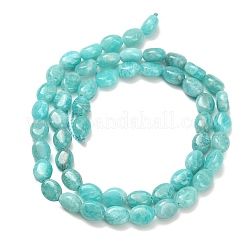 Fili di perline amazonite naturale&nbsp;G-H335-N02-6x8mm