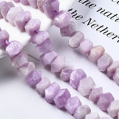Naturperlen Stränge kunzite&nbsp;G-S376-008