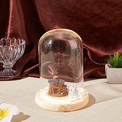 Copertura a cupola in vetro&nbsp;AJEW-WH0752-088A