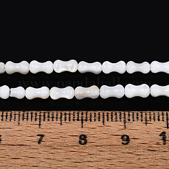 Natürlichen Süßwasser-Muschelperlen Stränge&nbsp;SHEL-N038-01