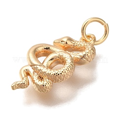 Messing Anhänger & Charms&nbsp;KK-U038-18G