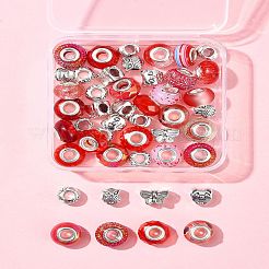 Kit de fabrication de perles européennes en alliage et résine de style tibétain&nbsp;DIY-FS0006-78E