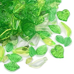 240pcs 8 Arten transparente Acrylanhänger&nbsp;TACR-YW0002-48