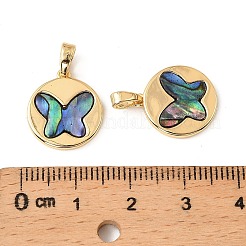 Natürliche Paua-Muschel&nbsp;KK-G538-15G-02