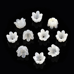 Bouchons de perles de coquillage blanc naturel&nbsp;SSHEL-N032-58A