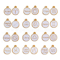 Legierung Emaille Anhänger / charms&nbsp;ENAM-CJ0001-21