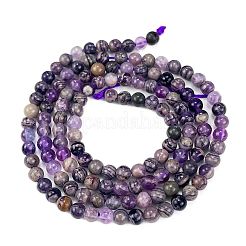 Perline Charoite naturale fili&nbsp;G-M438-A03-01