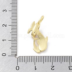 Pendentifs avec zircon cubiques à micro-pavés en laiton&nbsp;KK-Z098-07G-01