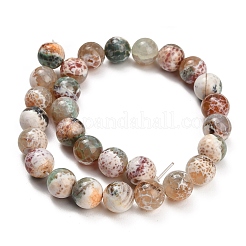 Brins de perles d'agate craquelée au feu naturel (teintes et chauffées)&nbsp;G-K425-A03-14mm