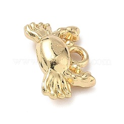 Pendentif en alliage &nbsp;FIND-Z101-04G-04