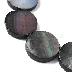Natur schwarz Lippe Shell Perlen Stränge&nbsp;BSHE-D300-05-20mm