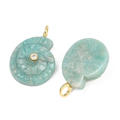 Pendentifs en amazonite naturelle&nbsp;X-G-H353-02G-08