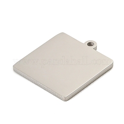 Pendentifs en acier inoxydable 304&nbsp;LS-SA-E001-08P