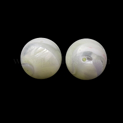 Natürliche Trochidschale / Trochusschalenperlen&nbsp;SH-CBA2978-22
