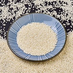 Perline miyuki delica&nbsp;X-SEED-J020-DB0732