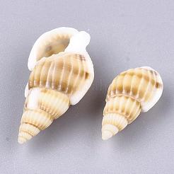 Naturspirale Muschelperlen&nbsp;SSHEL-R036-15