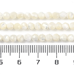 Natürlichen Muschelperlen Stränge&nbsp;SSHEL-E571-38B-4mm