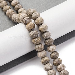 Natürliche Muschel fossile Perlen Stränge&nbsp;G-K380-A41-01