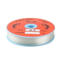 Transparent Angelfaden Nylondraht&nbsp;X-EC-L001-0.3mm-01