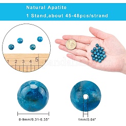 Natürliche Apatit Perlen Stränge&nbsp;G-AR0001-80