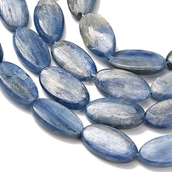 Chapelets de perles en cyanite naturelle&nbsp;G-H335-D01-8x15mm