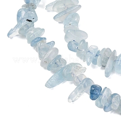 Natürliche Aquamarin Chips Perlen Stränge&nbsp;G-D0002-A02