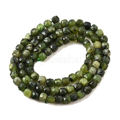 Brins de perles de jade canadien naturel&nbsp;G-G259-C04-4x4mm