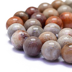 Fili di perline di corallo fossile rosso naturale&nbsp;G-K306-C13-10mm