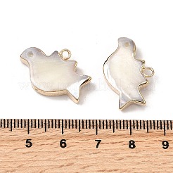 Anhänger der natürlichen Trochidenschale / Trochusschale&nbsp;SHEL-B003-09G