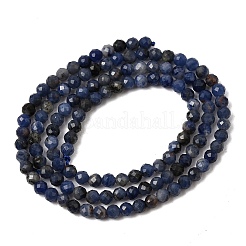 Sodalite naturale fili di perle&nbsp;G-P279-58-3mm-01