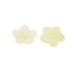 Transparente Acryl Perlen&nbsp;MACR-S373-118-D03