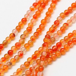 Natürlichen Karneol Perlenstränge, Runde, gefärbt und erhitzt, 3 mm, Bohrung: 0.8 mm, ca. 126 Stk. / Strang, 15 Zoll