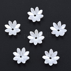 Coupellles en résine imitation perle, multi-pétale, fleur, blanc, 10x10x3mm, Trou: 1mm